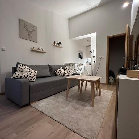 Apartman U Potoka Dolní Morava المظهر الخارجي الصورة